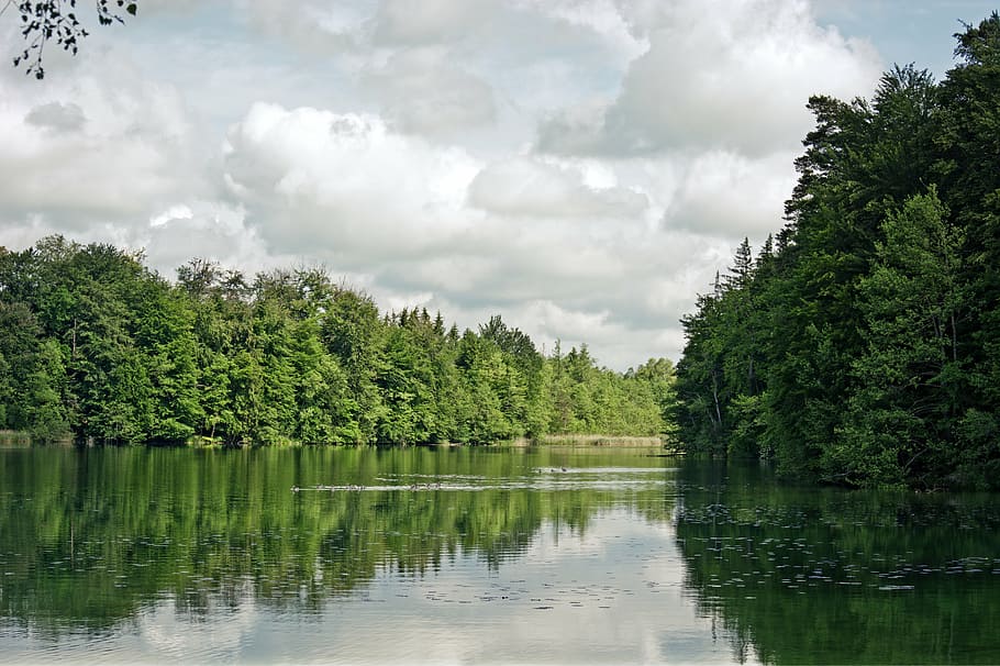 lake, forest, trees, clouds, nature, sky, scenic, harmony, green HD wallpaper