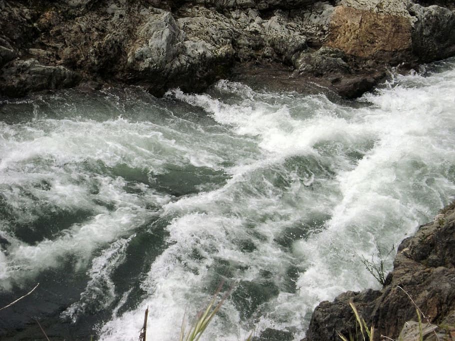 river, rapids, water, flow, whitewater, motion, sea, beauty in nature HD wallpaper