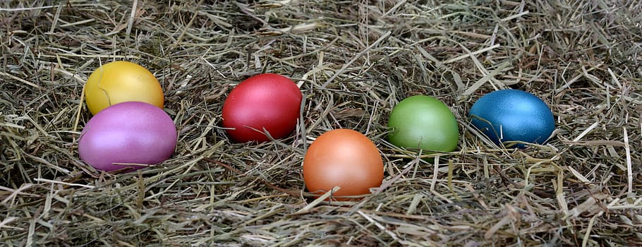 easter eggs, decoration, easter decoration, happy easter, colorful HD wallpaper