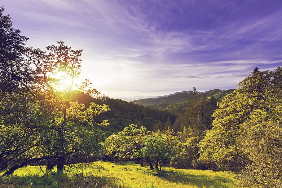 landscape, nature, sunset, clouds, agriculture, california, colorful, HD wallpaper