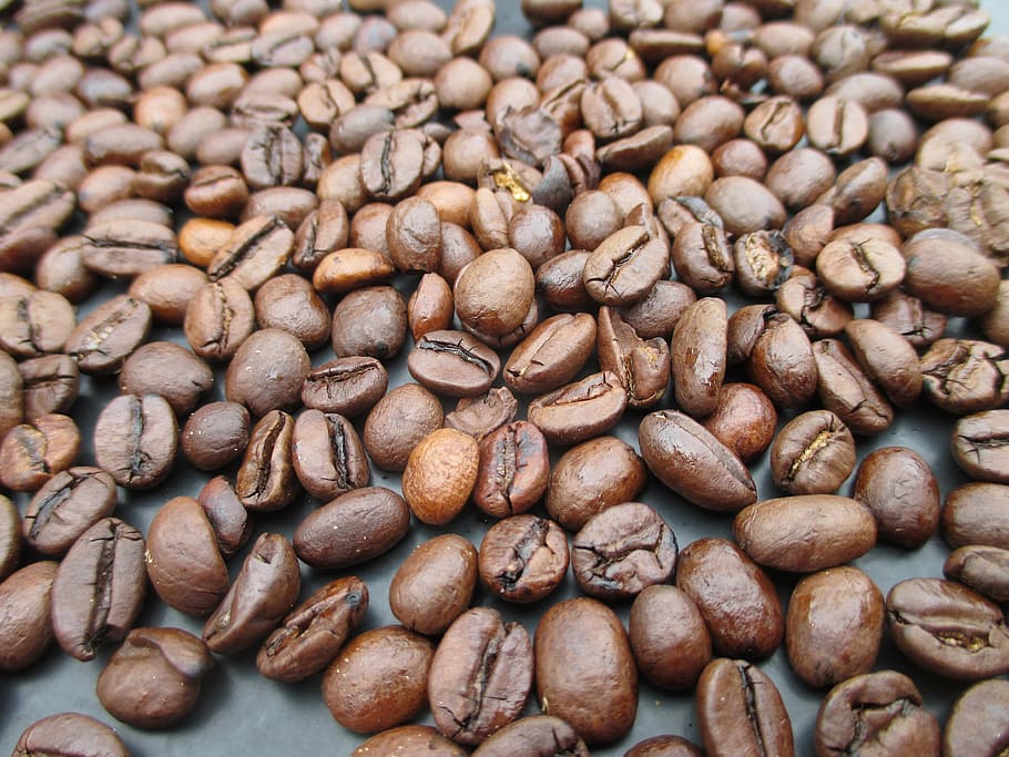 coffee beans, roasted, aroma, brown, caffeine, backgrounds, HD wallpaper