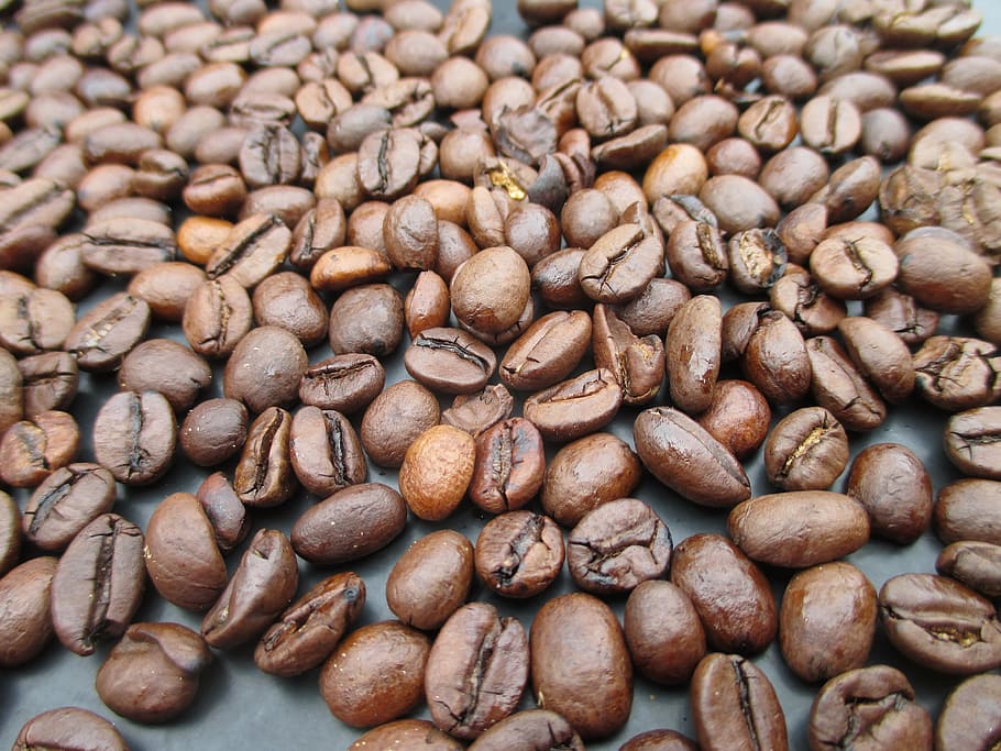 coffee beans, roasted, aroma, brown, caffeine, backgrounds HD wallpaper