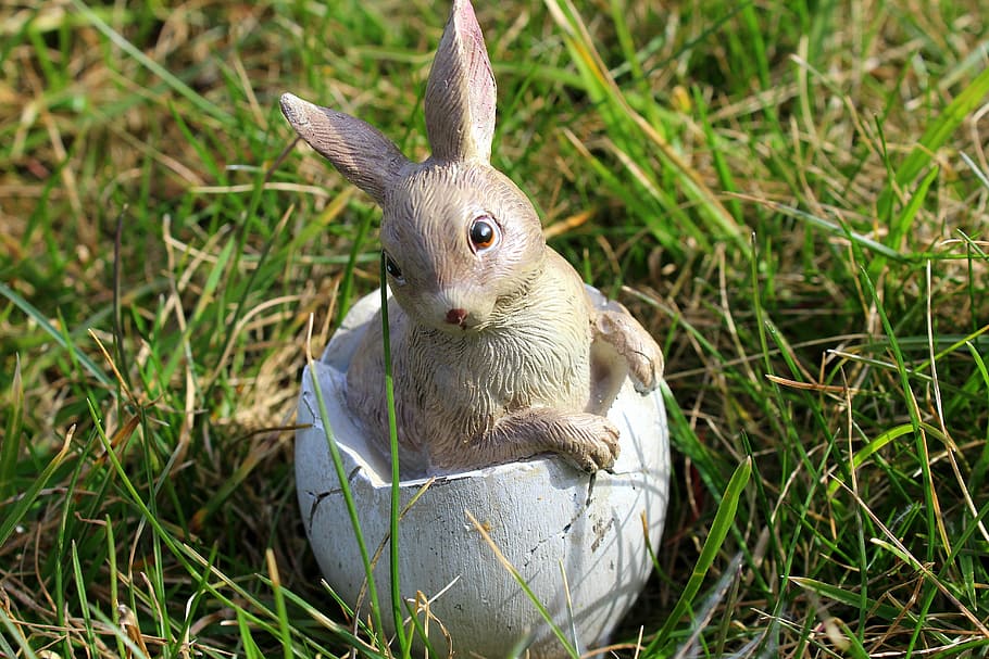 bunny, easter holidays, decoration, the environment, animal HD wallpaper