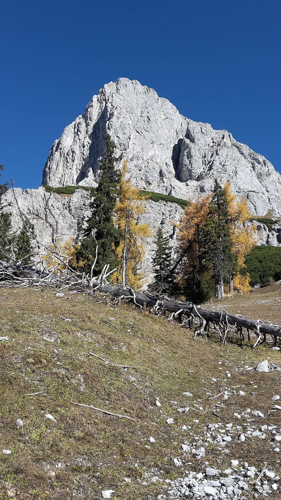 Mountain, Alpine, autumn, admonter kaibling, larch, nature, HD wallpaper
