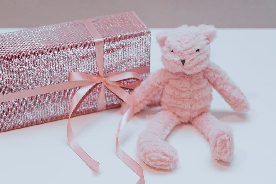 Pink Bear Plush Toy With Box, birthday, bow, card, celebration HD wallpaper