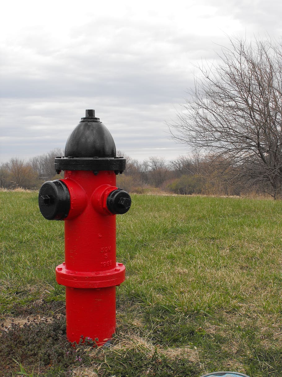 hydrant, fire, fire hydrant, water, red, emergency, safety HD wallpaper
