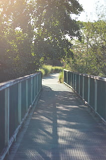 nature photography of bridge near tree at daytime, Perspective HD wallpaper