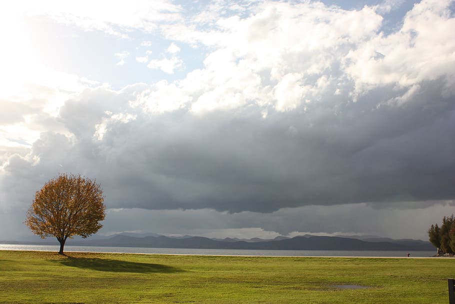green grass during cloudy day, lake champlain, autumn, tree HD wallpaper