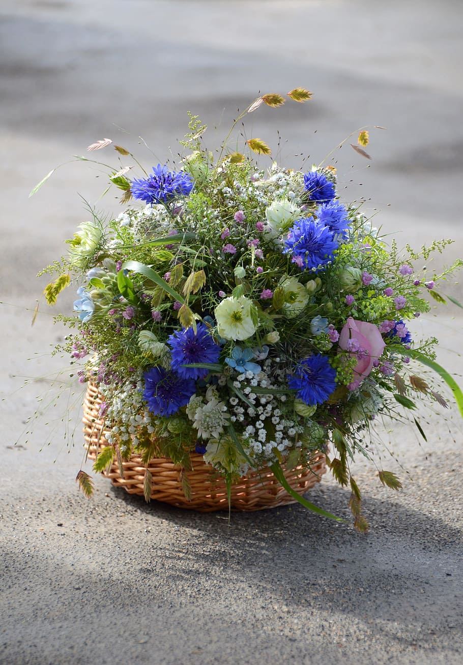 flower, nature, plant, leaf, summer, floral, bouquet, flowers HD wallpaper