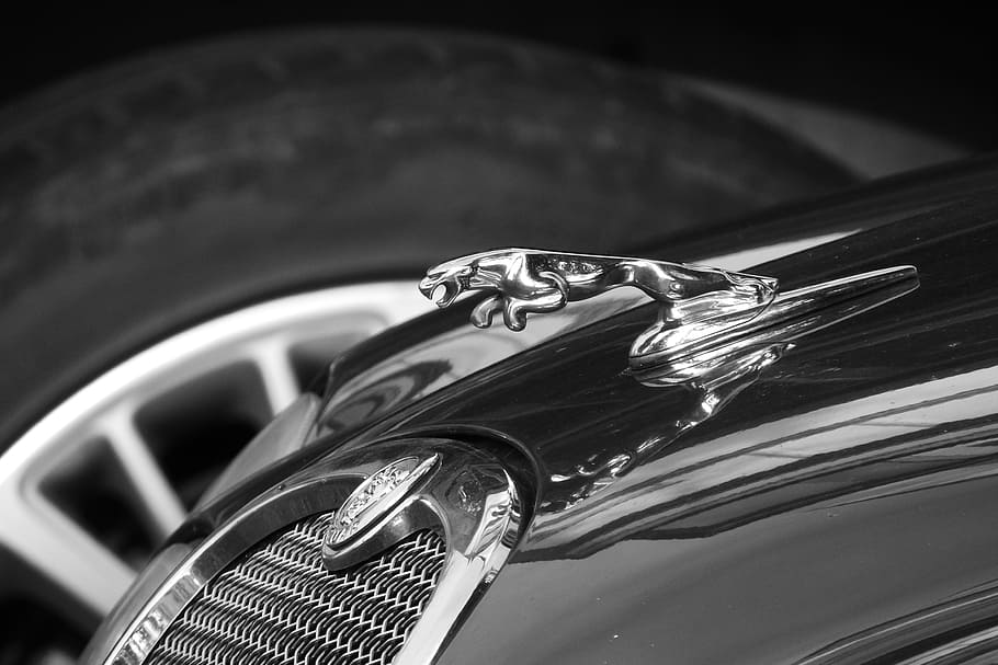 Jaguar, Car, Brand, Auto, expensive car, car brand, black and white, HD wallpaper