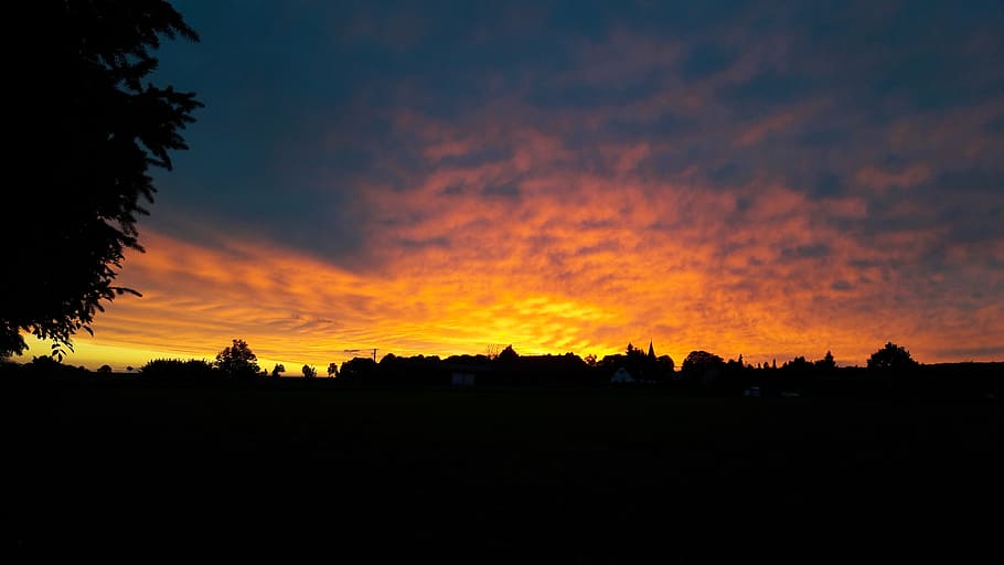 Twieflingen, Sunset, Evening, silhouette, tree, nature, scenics HD wallpaper