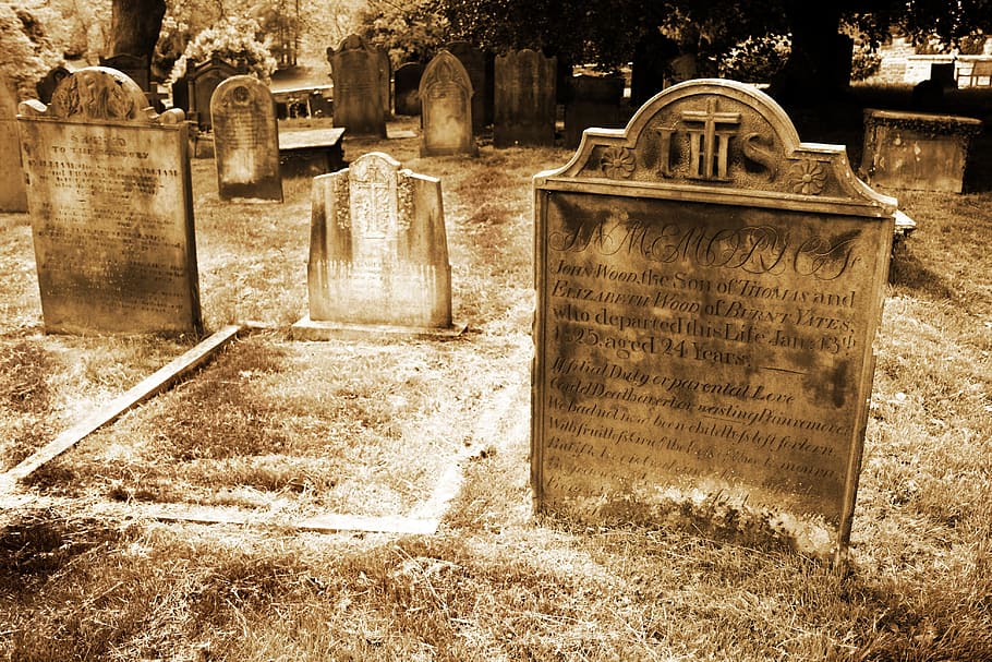 tombstones near trees, ancient, cemetery, culture, death, faith