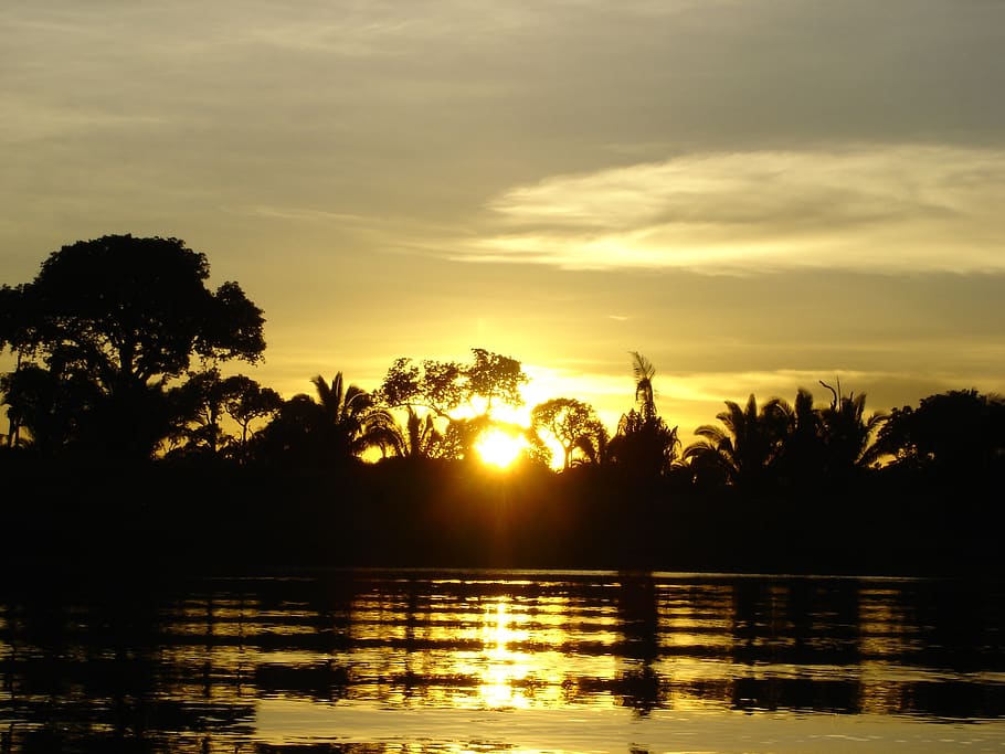 amazon, sunset, river, brazil, sky, landscape, jungle, water, HD wallpaper