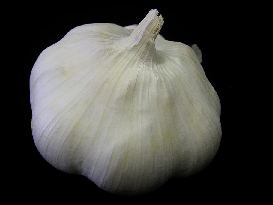garlic, plant, bulb, vegetable, herb, aromatic, eating, seasoning HD wallpaper