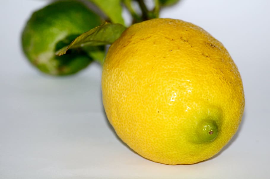 lemon, yellow, sour, fruit, frisch, vitamin c, citrus, vitamins HD wallpaper