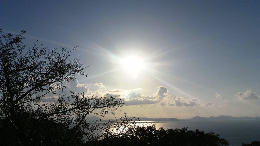 beautiful, landscape, sun, sky, tree, sunlight, plant, sunbeam HD wallpaper