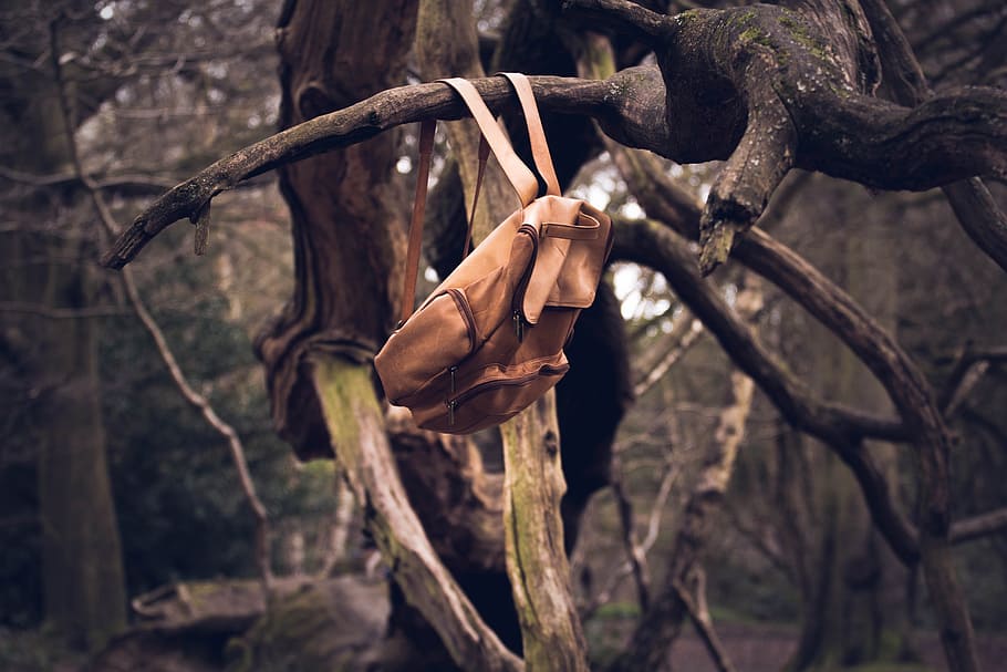 forest, trees, branches, tree, backpack, bag, hanging, leather HD wallpaper