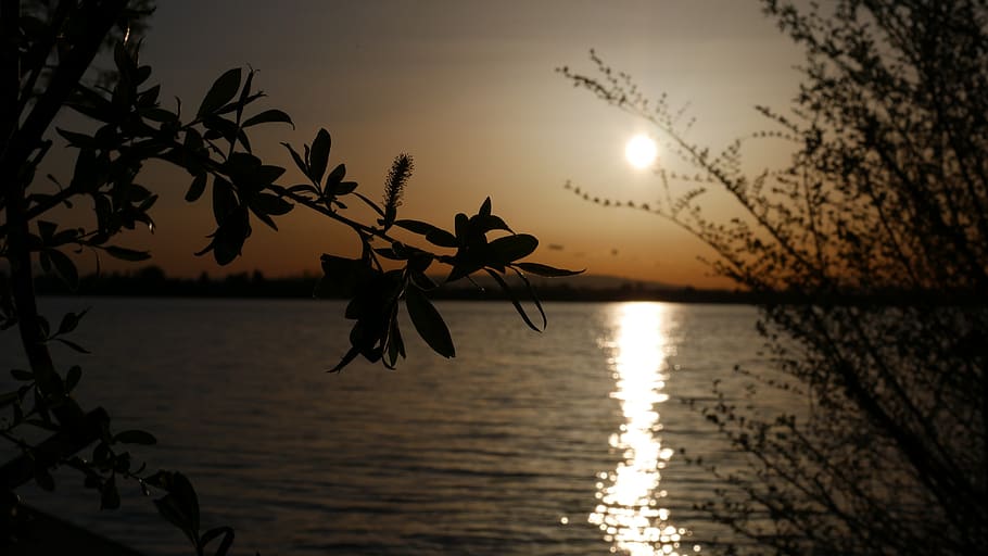 sunset, water, dusk, dawn, nature, reflection, silhouette, sky HD wallpaper
