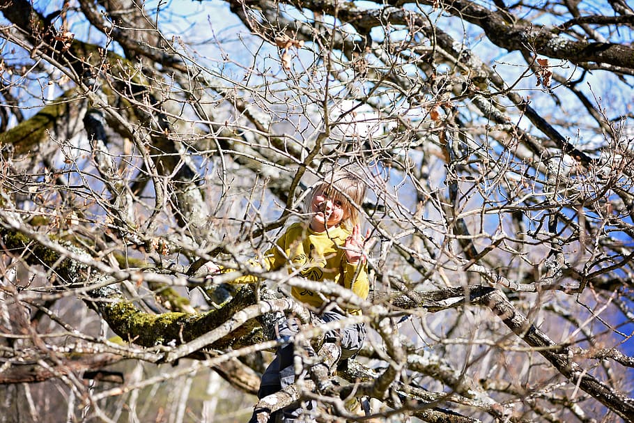 child, girl, tree, bare tree, spring, climbing tree, play, nature HD wallpaper