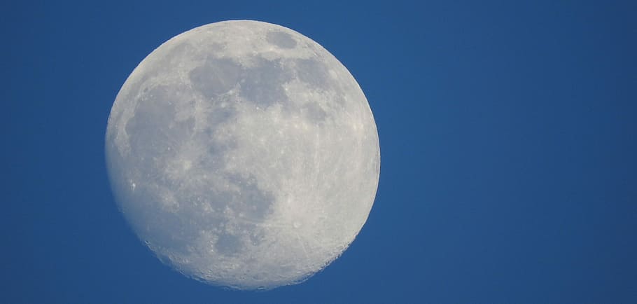 Moon, large, full, circle, blue, moon surface, nature, beauty in nature HD wallpaper