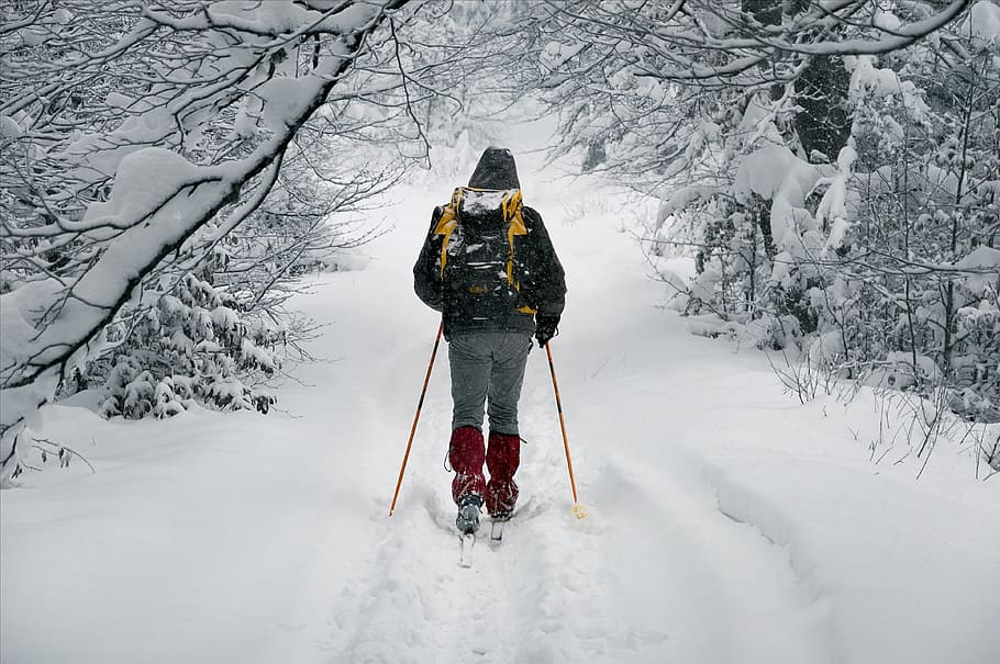 person with black hooded bubble jacket walking between tree covered with white snow during daytime HD wallpaper