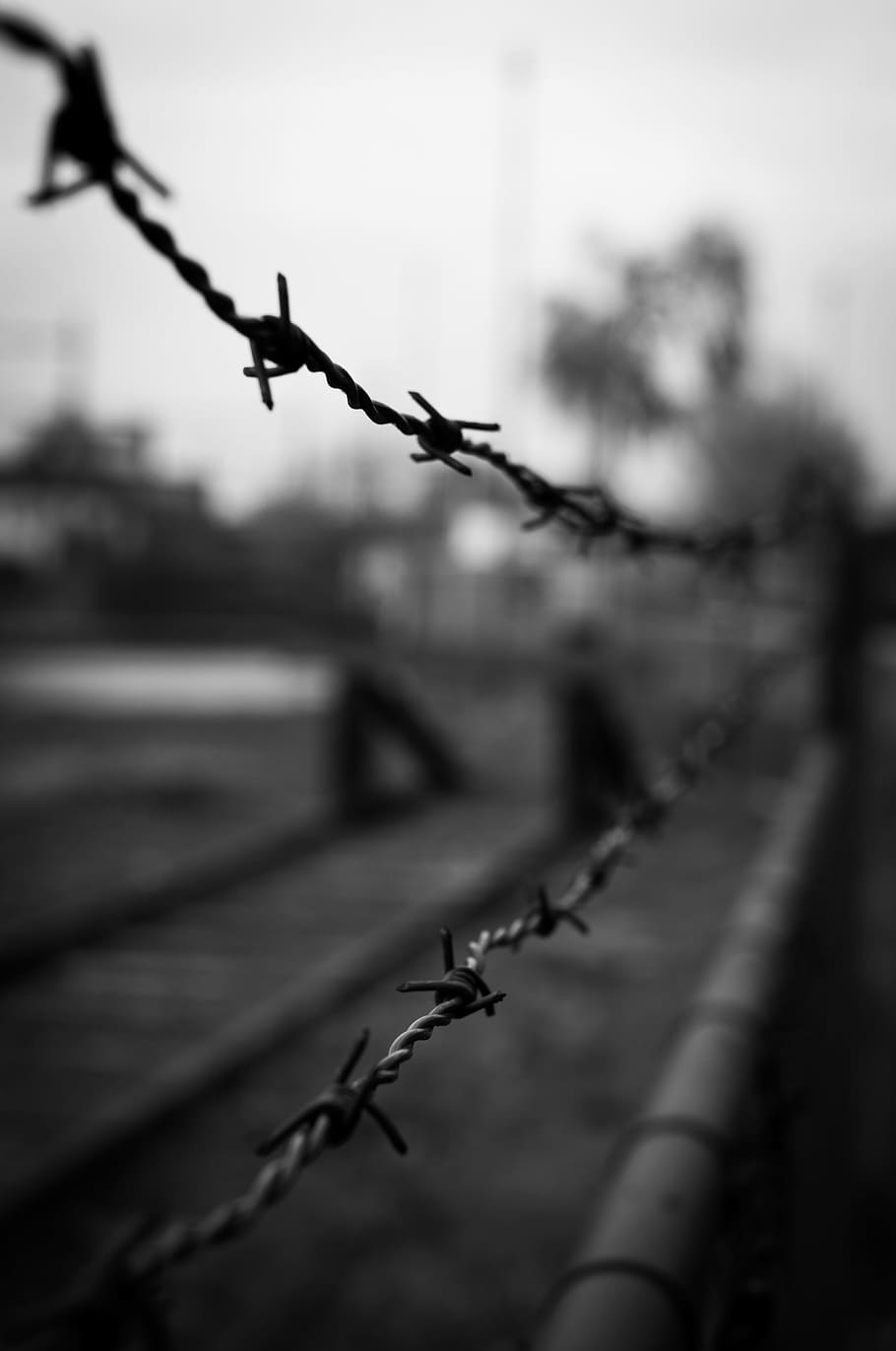 grey steel wire, barbwire, barbed wire, fence, border, spikes, HD wallpaper