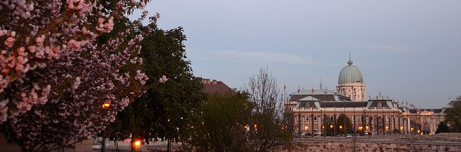 Spring, Budapest, Buda Castle, Flowers, sunshine, panorama HD wallpaper