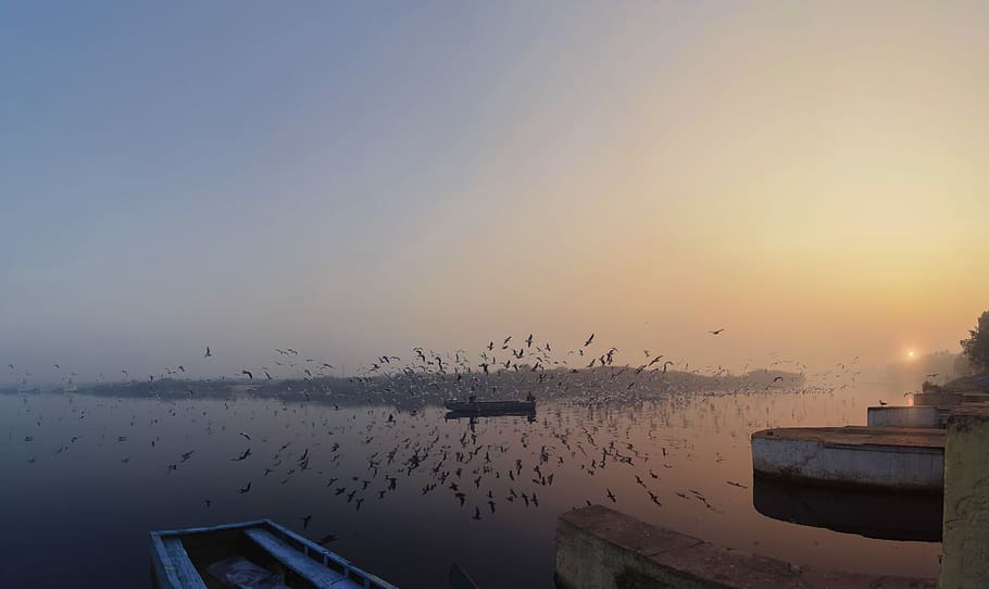 Yamuna Ghat, still body of water during daytime, sunset, sunrise