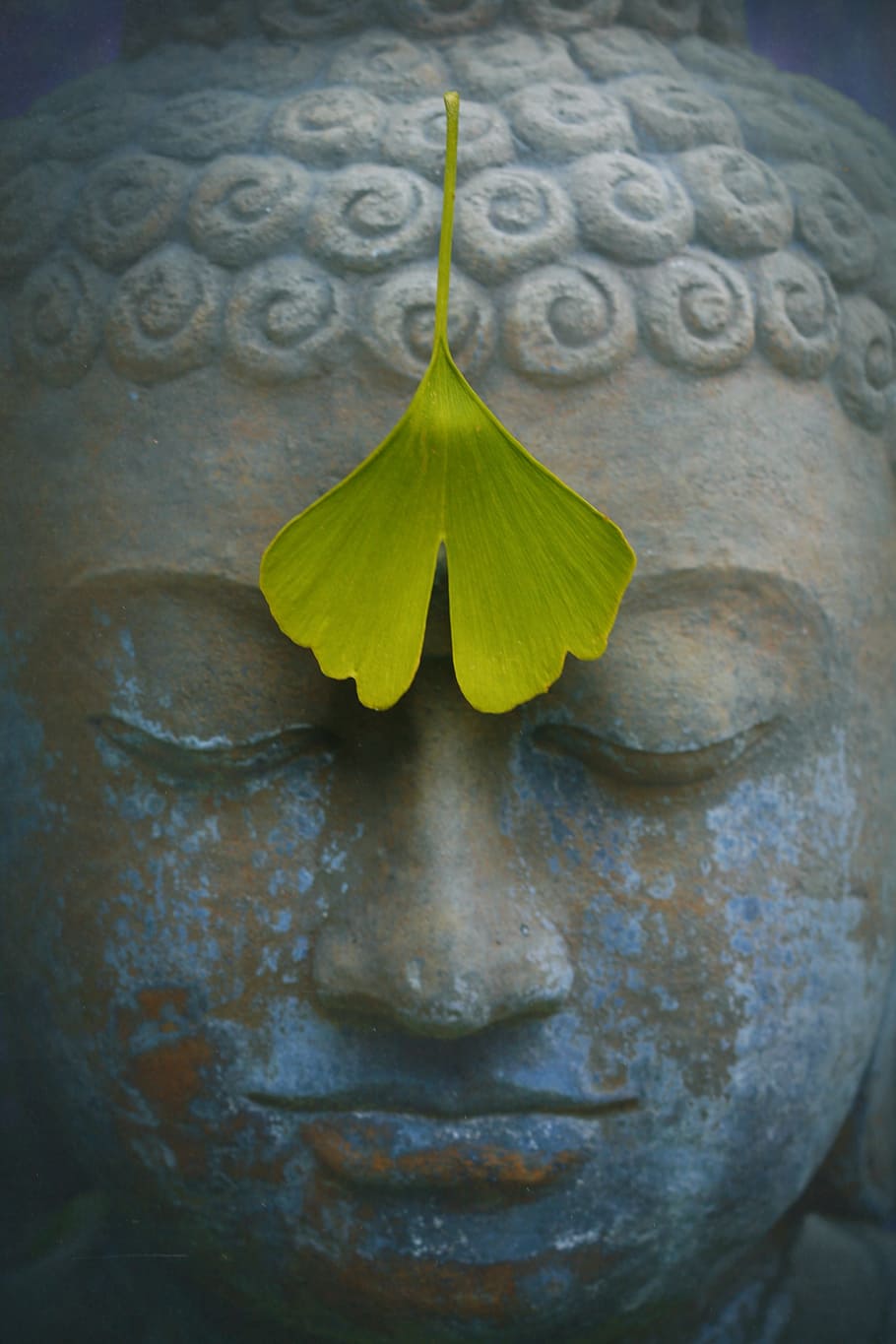 Buddha statue with green leaf, zen, meditation, stone figure