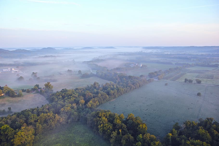 clouds, fields, fog, forest, landscape, mist, nature, smoke HD wallpaper