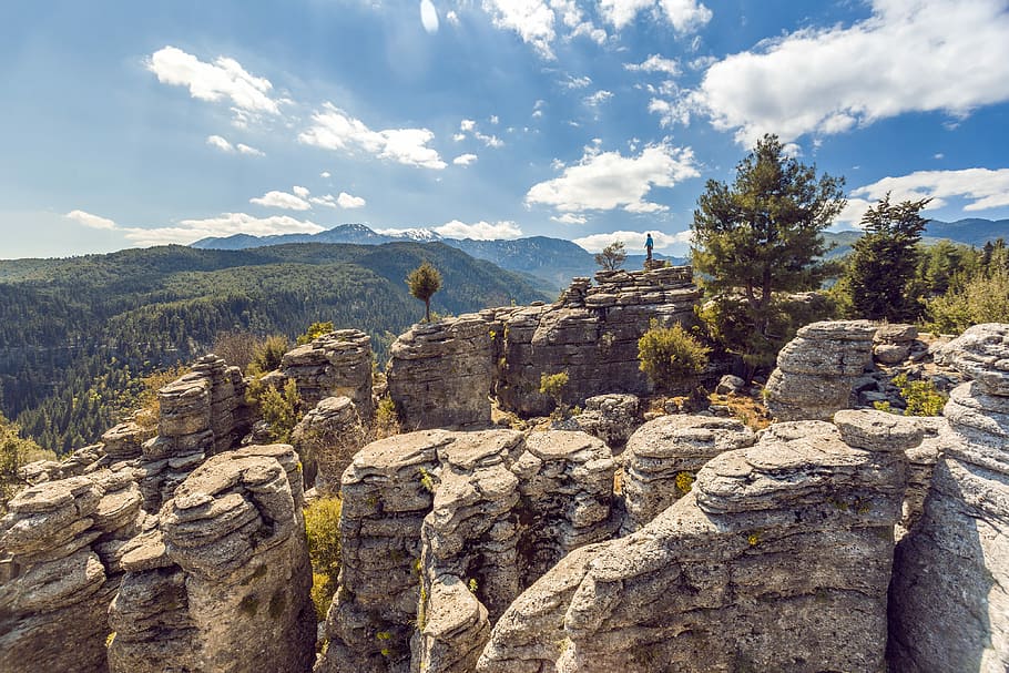 green trees on rock mountain, gray rock formation on firest, outdoor HD wallpaper