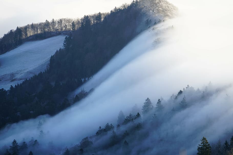 closeup photo of mountain, fog, nebellandschaft, wave of fog, HD wallpaper