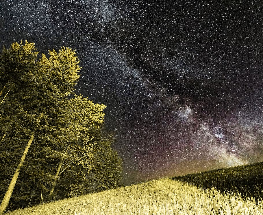 green trees beside green grass field under star sky, low angle photography of nebula HD wallpaper