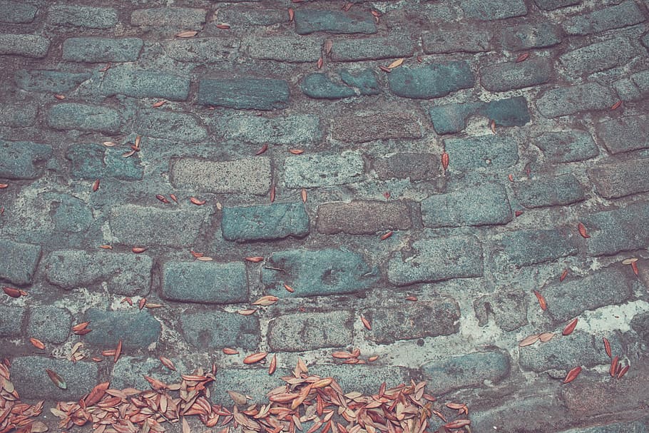 gray brick concrete surface with brown leaves, withered leaves on brick pavement HD wallpaper