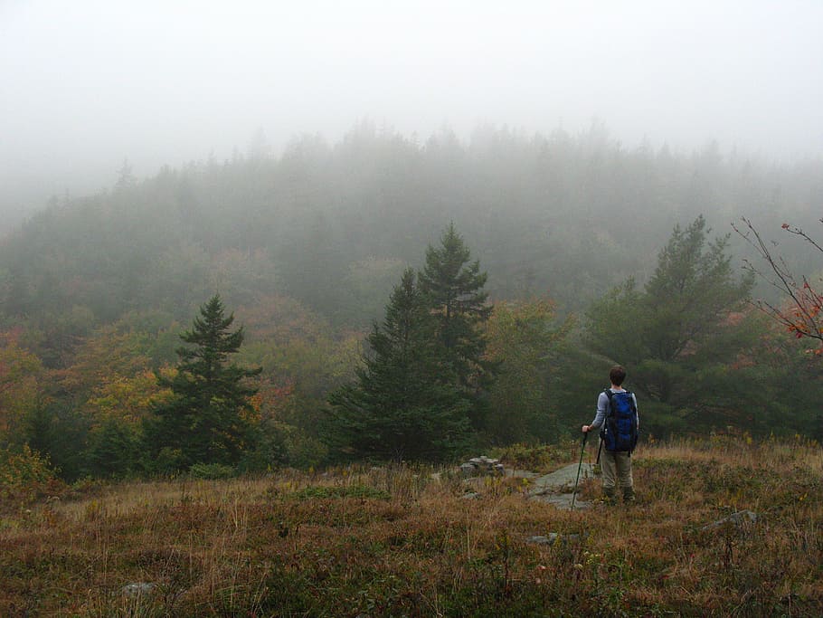 hike, backpack, mountains, fog, adventure, nature, outdoor HD wallpaper