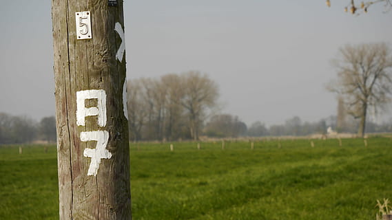 directory, signposts, wood, direction, marking, sky, rest, migratory character HD wallpaper