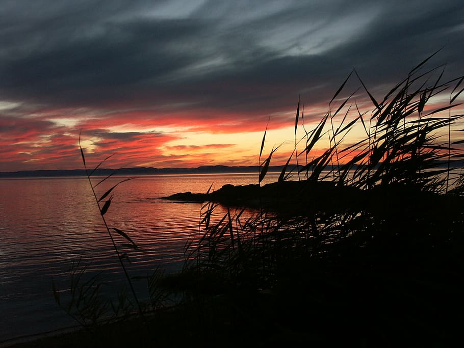 sunset, river, evening, reflections, color, light, night, water courses HD wallpaper