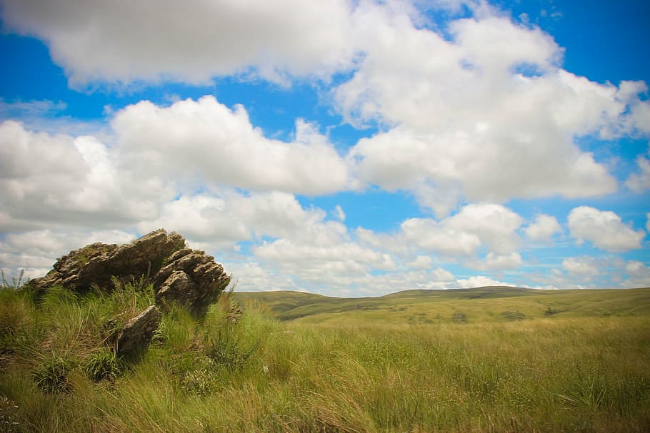green grass field during day time, sky, blue, cloud, blue sky HD wallpaper