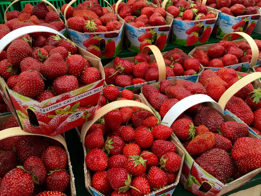 Strawberries, Fruit, Fresh, Local, red, organic, market, seasonal HD wallpaper