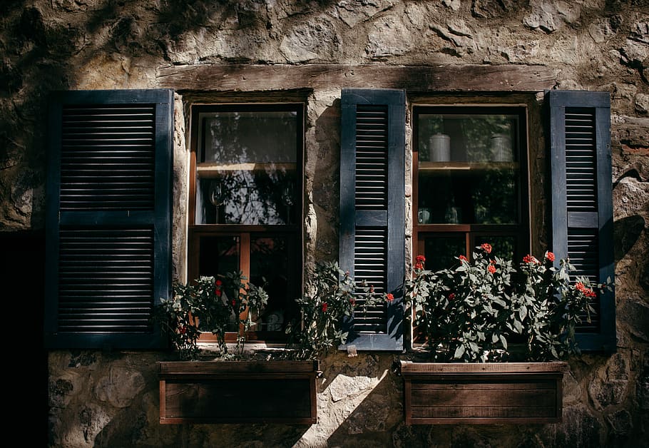 window with potted plants in front at daytime photo, brown and blue wooden shelfs HD wallpaper