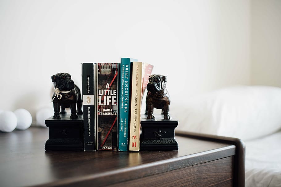 blur, bookcase, close-up, focus, furniture, indoors, room, still life HD wallpaper
