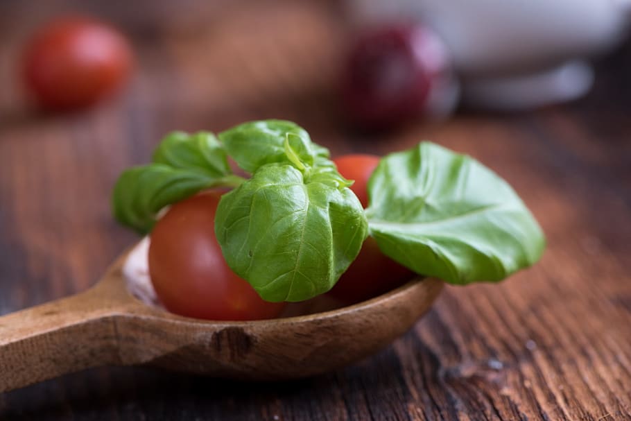 Tomatoes, Small, Basil, small tomatoes, red, green, spice, herbs HD wallpaper