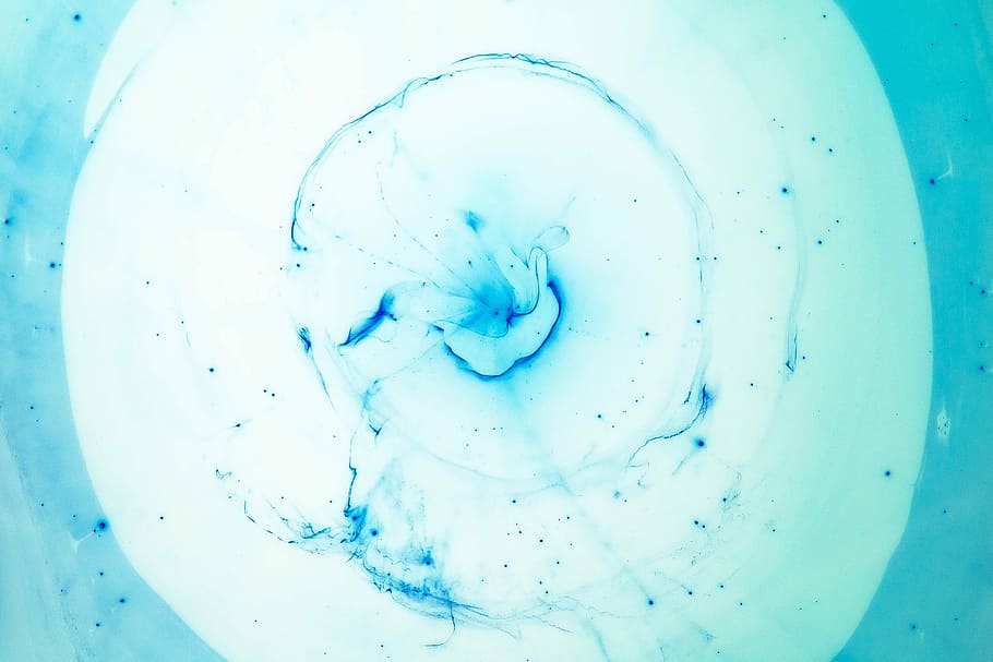 blue flower illustration, turquoise, teal, swirl, watercolor HD wallpaper