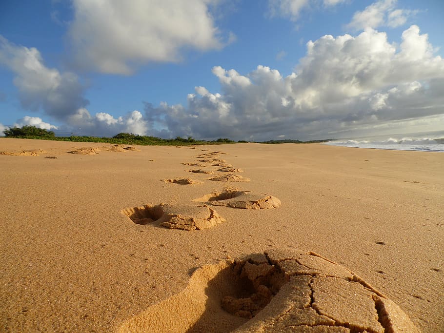seashore under cloudy sky during daytime, beach, beira mar HD wallpaper
