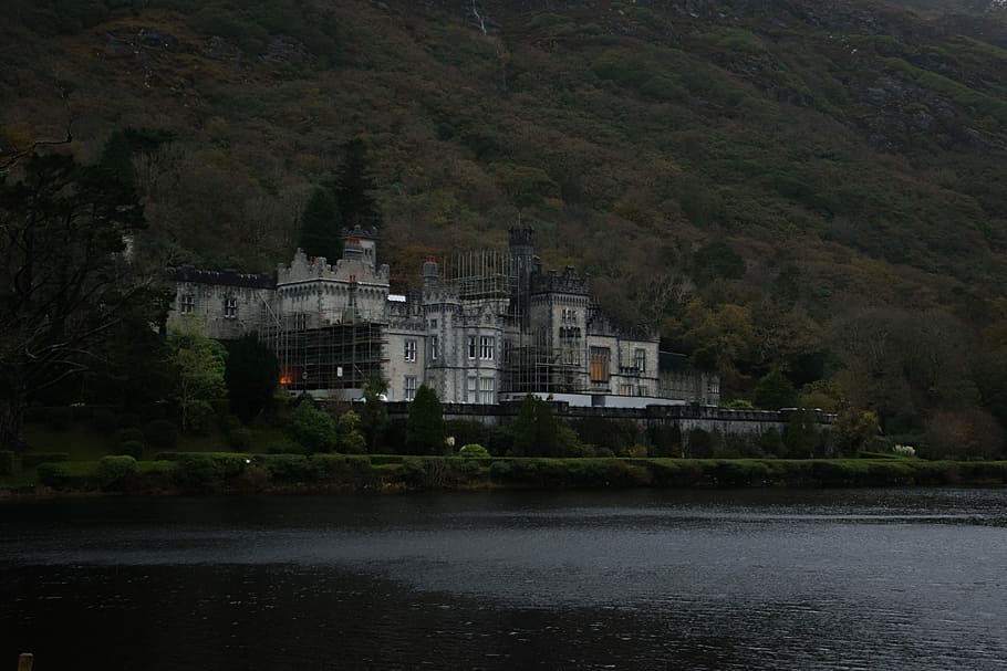 gray castle near body of water, white concrete building near body of water and green trees HD wallpaper