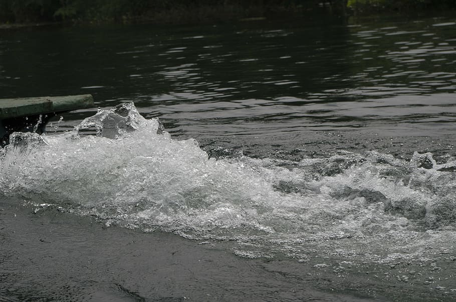 splashing water, spray, motion, waterfront, nature, aquatic sport HD wallpaper
