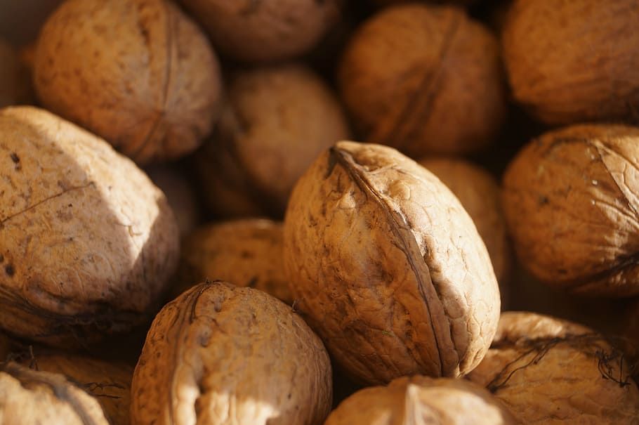 nuts, walnuts, brown, shell, fruit bowl, eat, food, nut - Food HD wallpaper