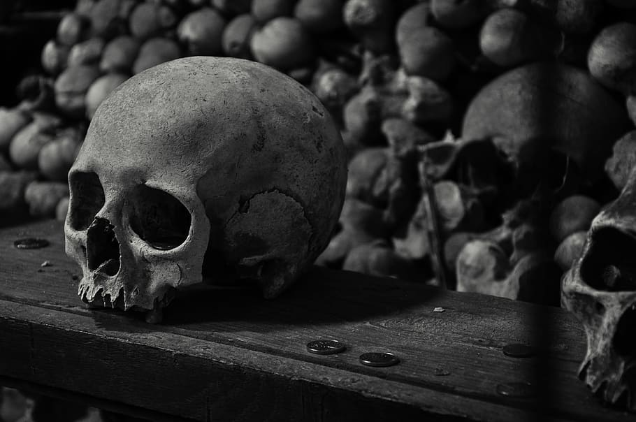 grayscale photography of skulls, kutna hora, ossuary, bones, skeleton