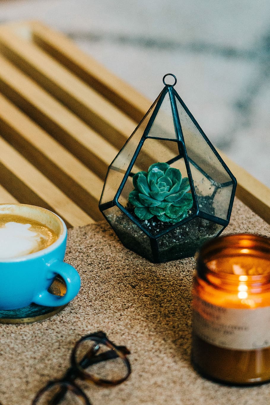 green succulent in between glass candle and teacup on table, green succulent plant beside blue ceramic teacup HD wallpaper