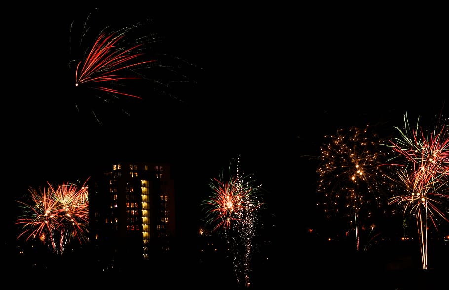 fireworks on night sky, display, light show, firework display, HD wallpaper